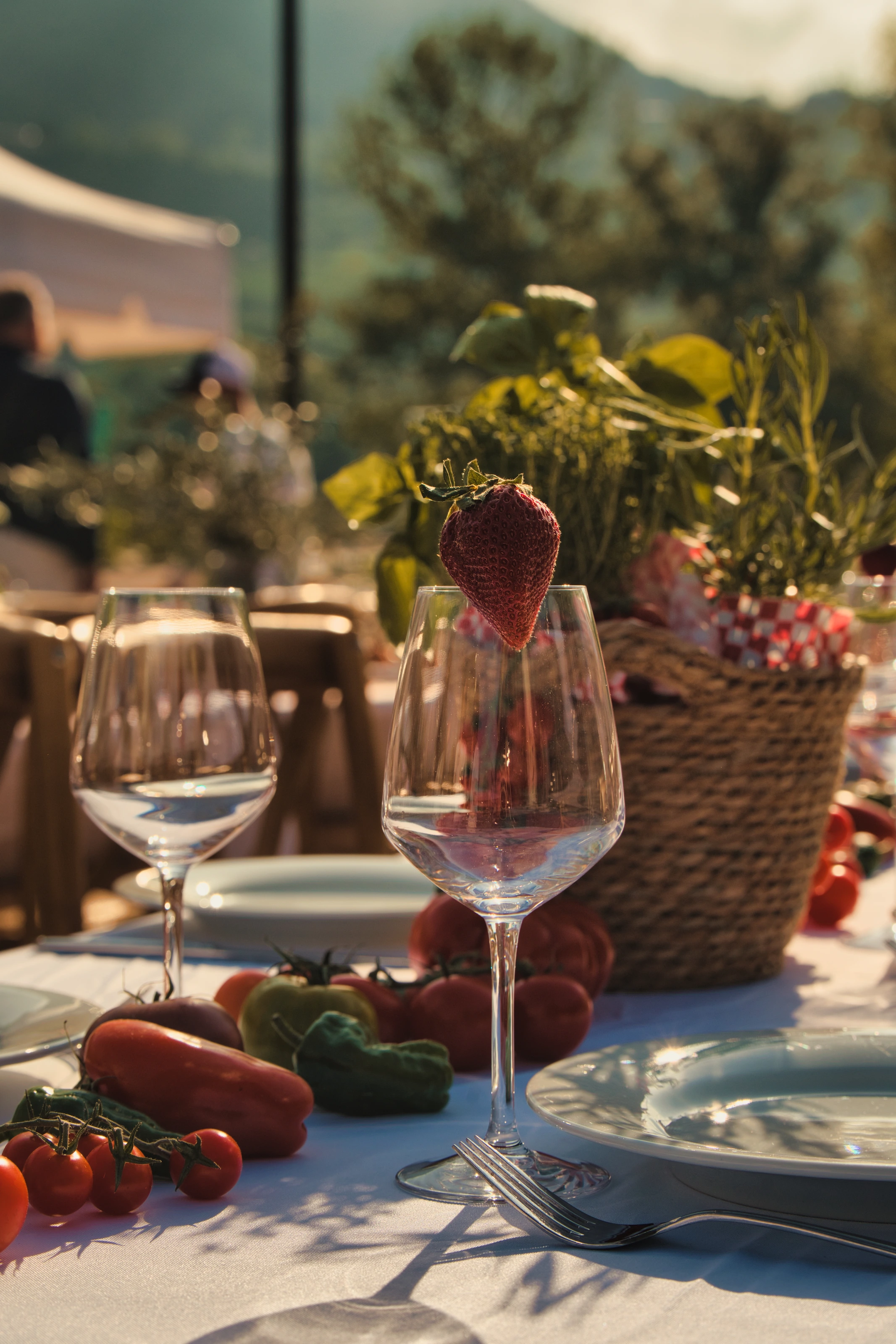 Verres et fleurs au soleil